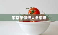 家常菜做法大全菜谱