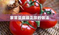 家常豆腐最正宗的做法