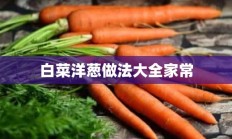 白菜洋葱做法大全家常