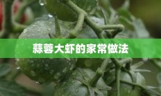 蒜蓉大虾的家常做法