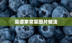 菜谱家常菜图片做法