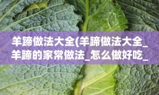 羊蹄做法大全(羊蹄做法大全_羊蹄的家常做法_怎么做好吃_美食天下)