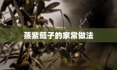 蒸紫茄子的家常做法