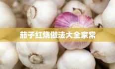 茄子红烧做法大全家常