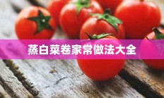 蒸白菜卷家常做法大全