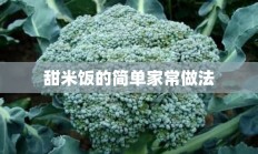 甜米饭的简单家常做法