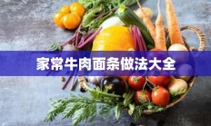 家常牛肉面条做法大全