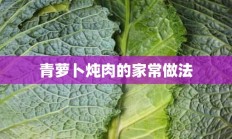 青萝卜炖肉的家常做法