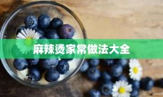 麻辣烫家常做法大全