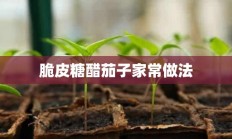 脆皮糖醋茄子家常做法