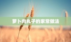 萝卜肉丸子的家常做法