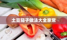 土豆茄子做法大全家常