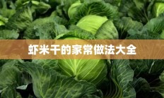 虾米干的家常做法大全