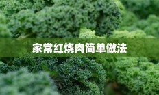 家常红烧肉简单做法