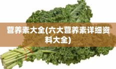 营养素大全(六大营养素详细资料大全)