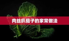 肉丝扒茄子的家常做法