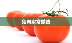 兔肉家常做法