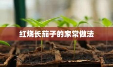 红烧长茄子的家常做法