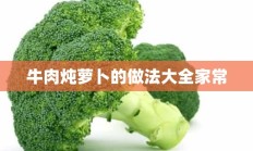 牛肉炖萝卜的做法大全家常