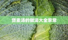 煲素汤的做法大全家常