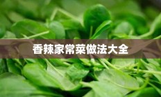 香辣家常菜做法大全