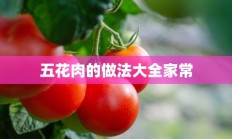 五花肉的做法大全家常