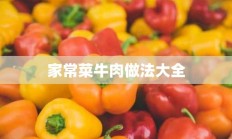 家常菜牛肉做法大全