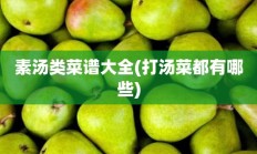 素汤类菜谱大全(打汤菜都有哪些)