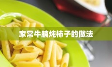 家常牛腩炖柿子的做法