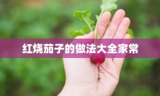 红烧茄子的做法大全家常