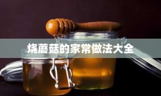 烧蘑菇的家常做法大全