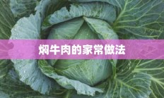 焖牛肉的家常做法