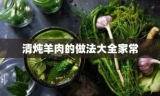 清炖羊肉的做法大全家常