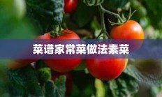 菜谱家常菜做法素菜