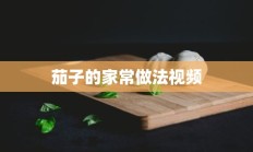 茄子的家常做法视频