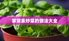 家常素炒菜的做法大全