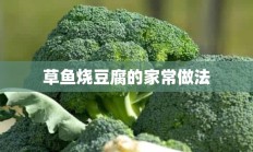 草鱼烧豆腐的家常做法