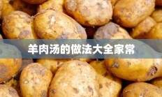 羊肉汤的做法大全家常