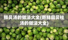 鲜贝汤的做法大全(新鲜扇贝柱汤的做法大全)