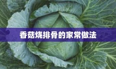 香菇烧排骨的家常做法