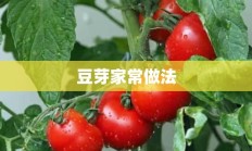 豆芽家常做法