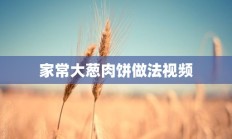 家常大葱肉饼做法视频