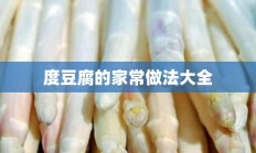 度豆腐的家常做法大全