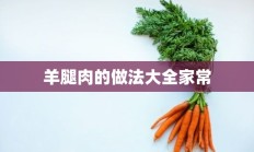 羊腿肉的做法大全家常