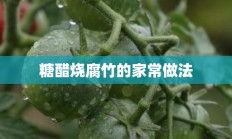 糖醋烧腐竹的家常做法