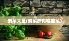 素菜大全(素菜都有哪些菜)