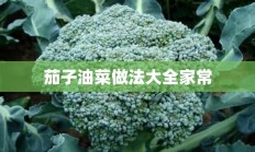 茄子油菜做法大全家常