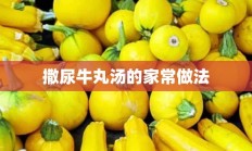 撒尿牛丸汤的家常做法