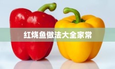 红烧鱼做法大全家常