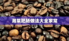 湘菜肥肠做法大全家常